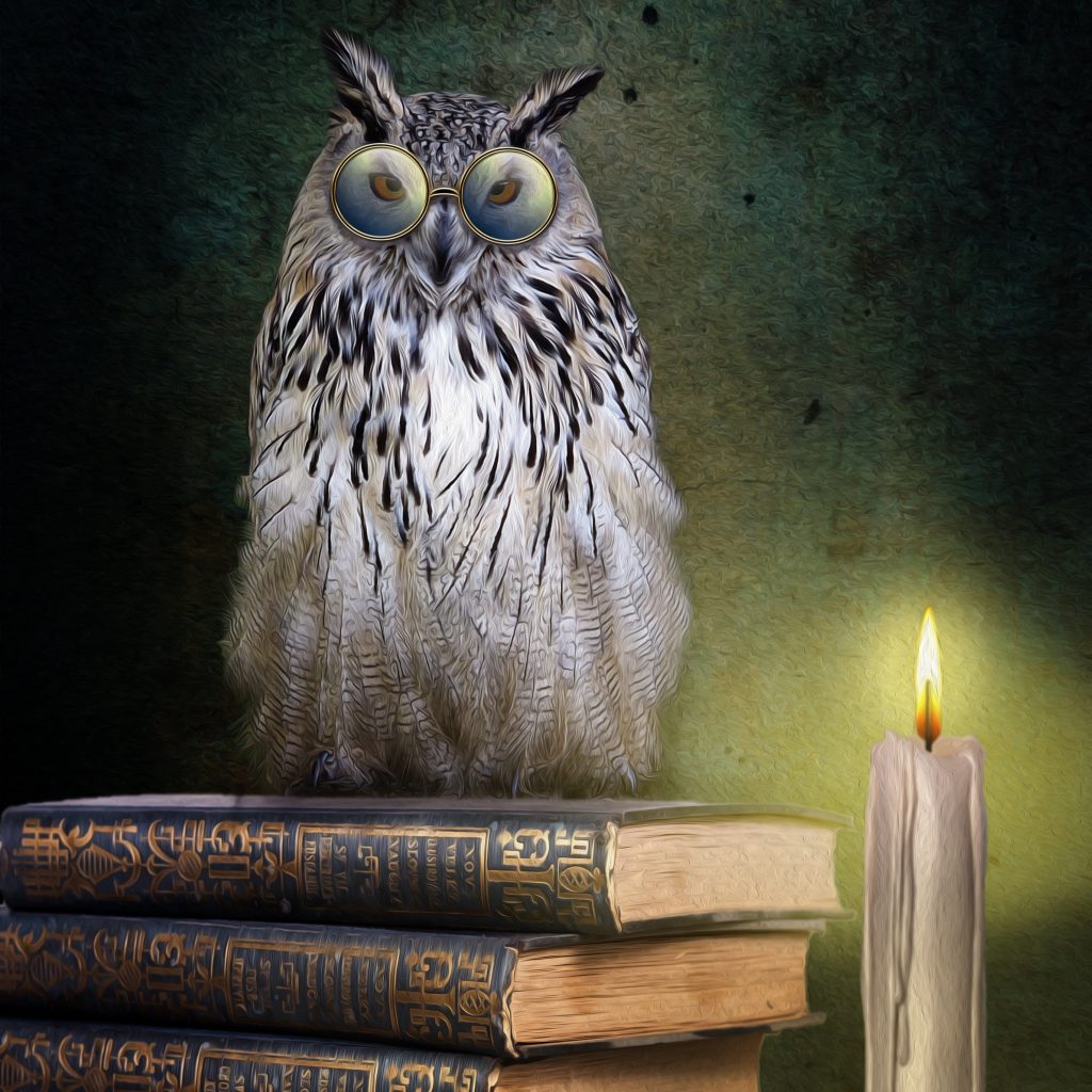 The Pursuit of&nbsp;Wisdom